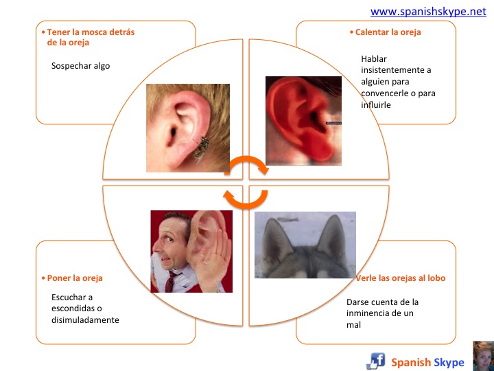 Expresiones idiomáticas: oreja