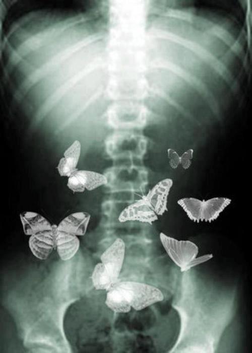Sentir mariposas en el estómago